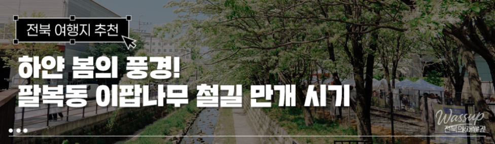 The Enchanting Ipam Tree Trail in May_01