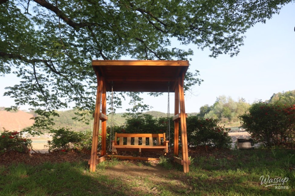 Exploring the Serene Munbeop-ri Zelkova Village Forest in Goesan_11