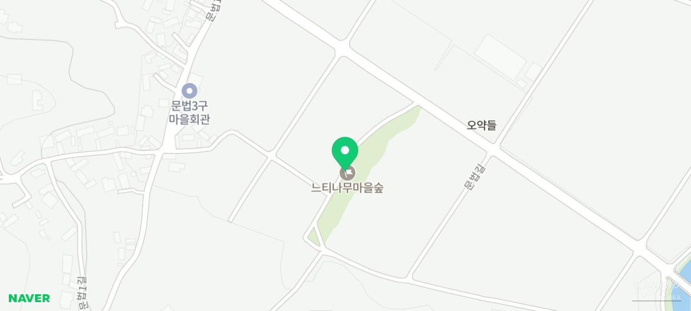 Exploring the Serene Munbeop-ri Zelkova Village Forest in Goesan_17