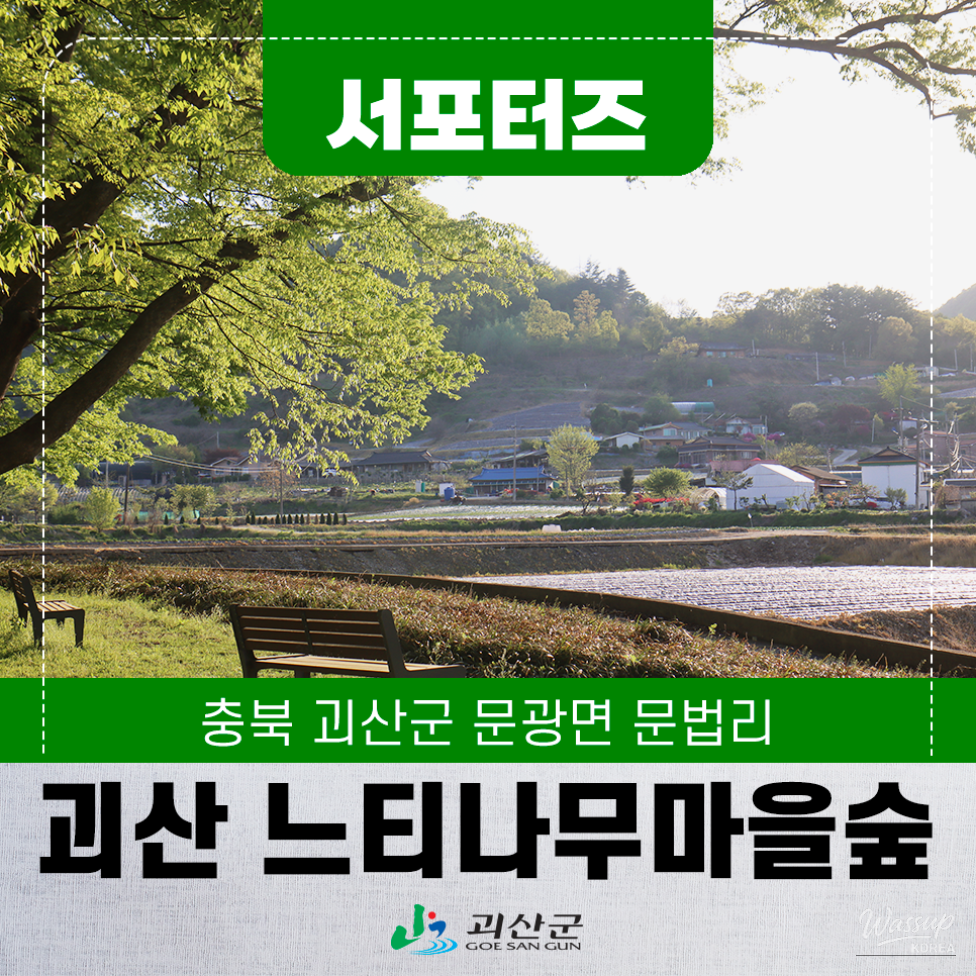 Exploring the Serene Munbeop-ri Zelkova Village Forest in Goesan_01