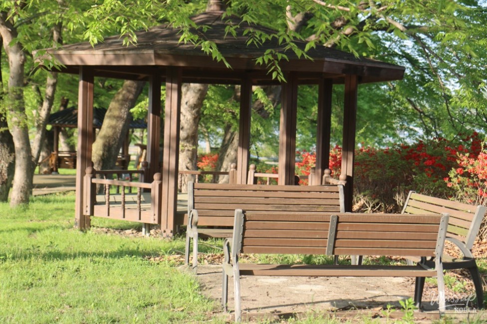 Exploring the Serene Munbeop-ri Zelkova Village Forest in Goesan_07