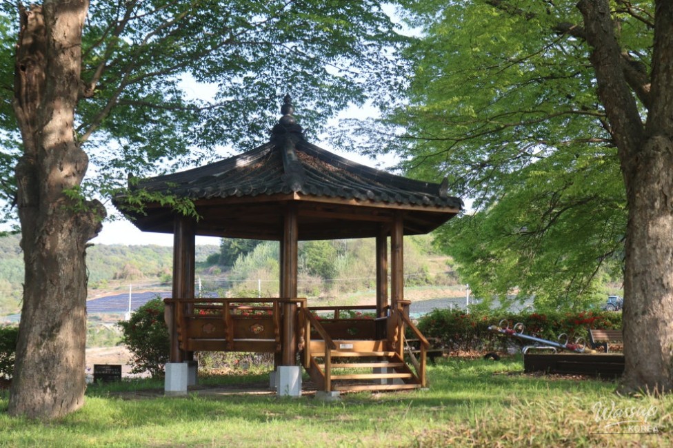 Exploring the Serene Munbeop-ri Zelkova Village Forest in Goesan_04