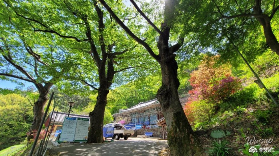 Bongseosa Temple: A Serene Retreat in Chungcheongnam-do_03