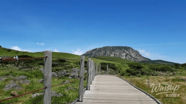 Top 4 Must-Visit Travel Destinations in Korea for Foreign Tourists_04