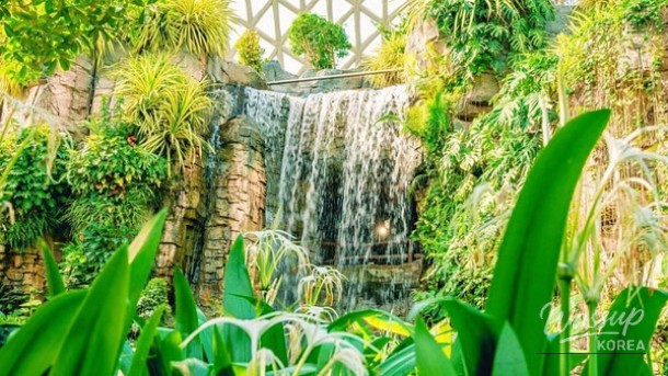 Discover the Wonders of Geoje Botanical Garden_03