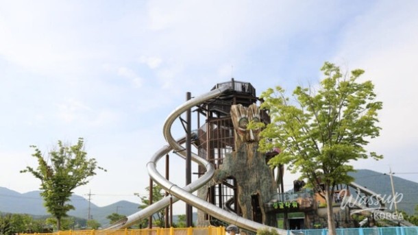 Discover the Wonders of Geoje Botanical Garden_04
