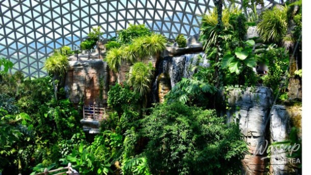 Discover the Wonders of Geoje Botanical Garden_01