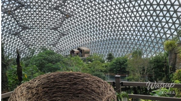 Discover the Wonders of Geoje Botanical Garden_02