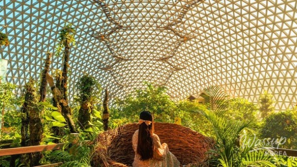 Discover the Wonders of Geoje Botanical Garden_05