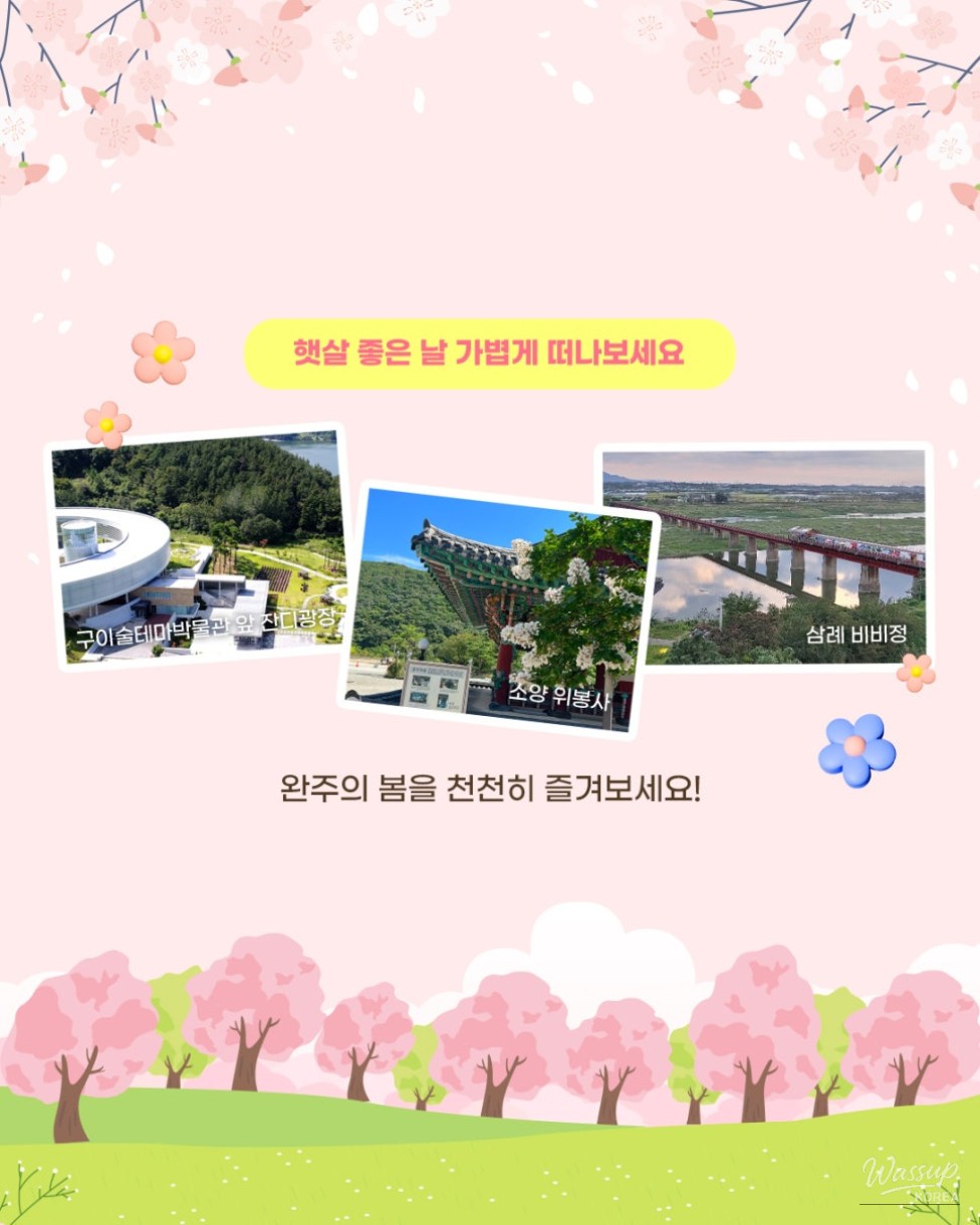 Enjoying a Spring Picnic in Wanju_05