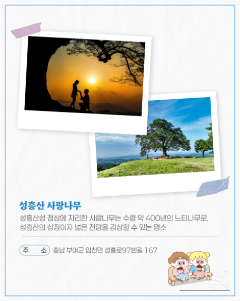 Explore Buyeo with DRT: A Convenient Journey Without a Car_11