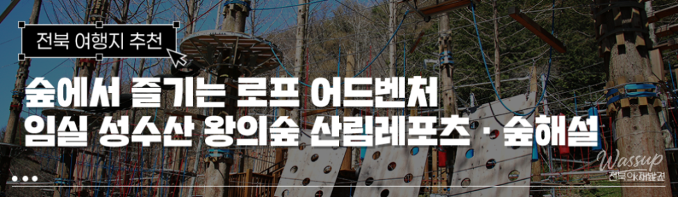 A Perfect Place for Activities with Kids in the Forest_01