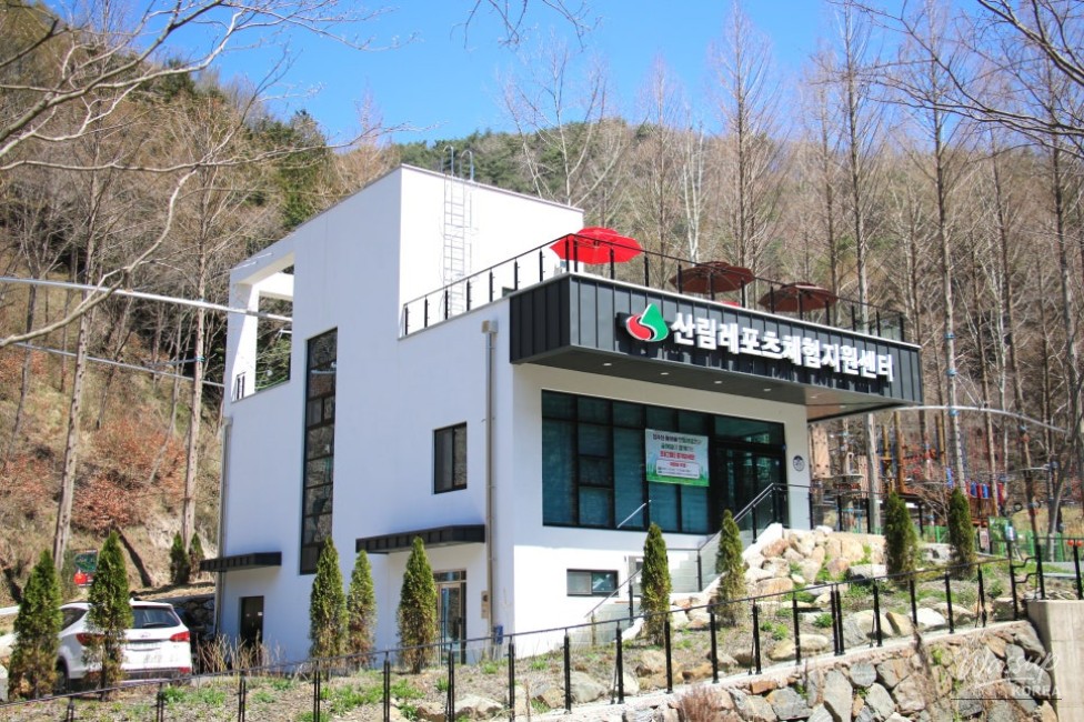 A Perfect Place for Activities with Kids in the Forest_04