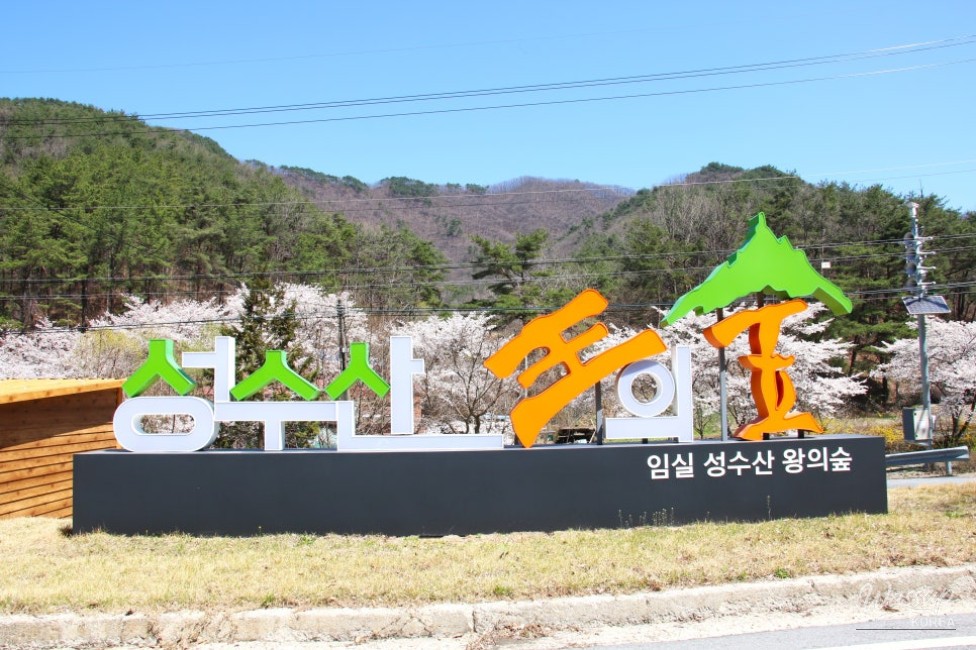 A Perfect Place for Activities with Kids in the Forest_02