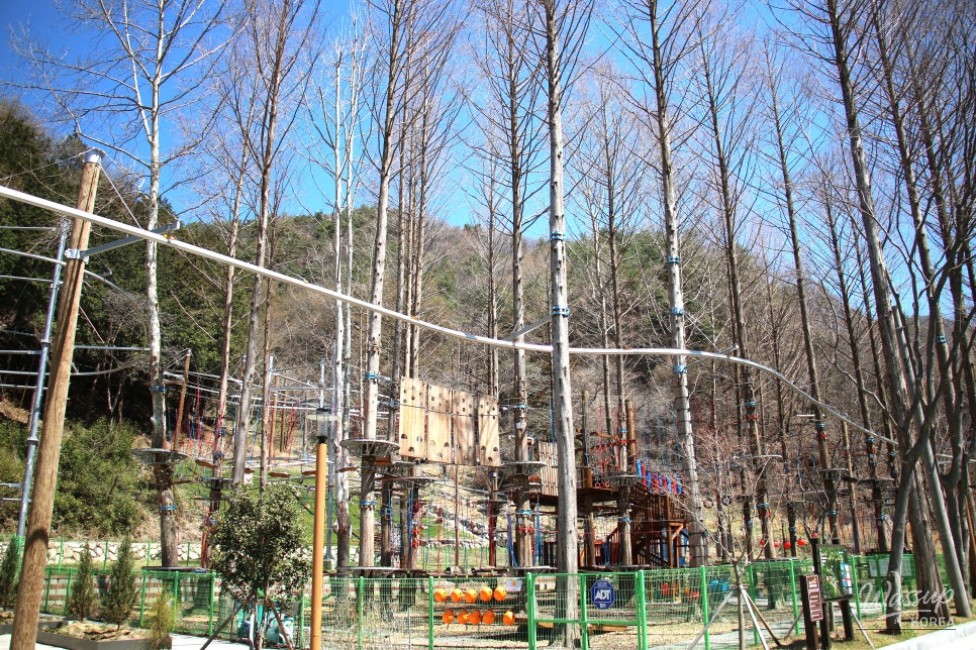 A Perfect Place for Activities with Kids in the Forest_05