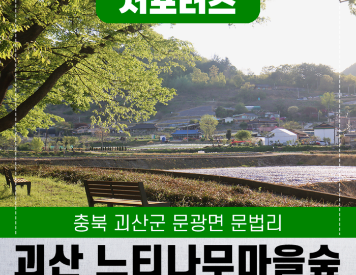 Exploring the Serene Munbeop-ri Zelkova Village Forest in Goesan float