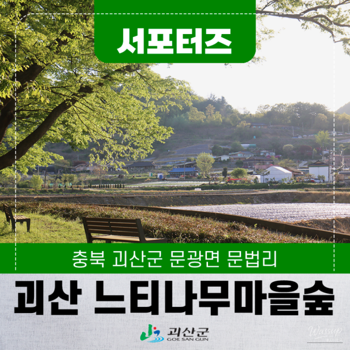 Exploring the Serene Munbeop-ri Zelkova Village Forest in Goesan3483
