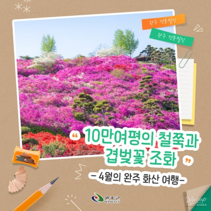 Springtime Bliss at Wanju Hwasan Flower Garden373