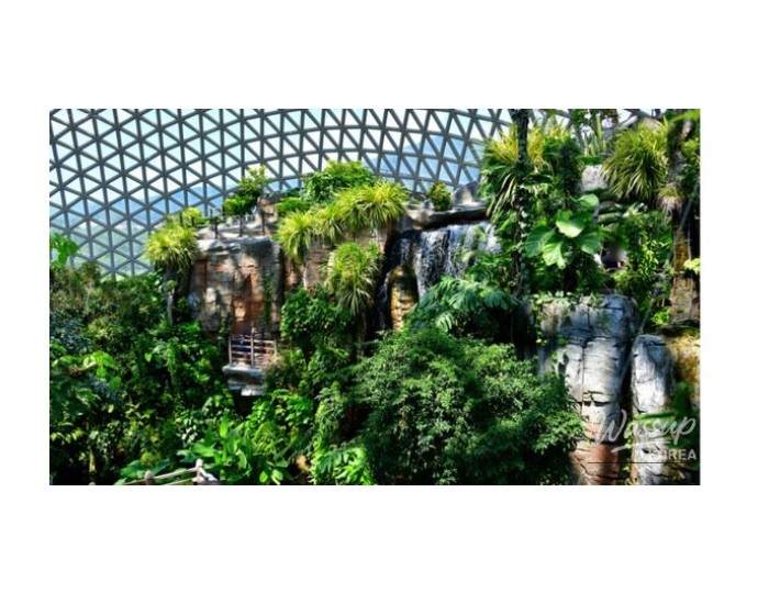 Discover the Wonders of Geoje Botanical Garden float