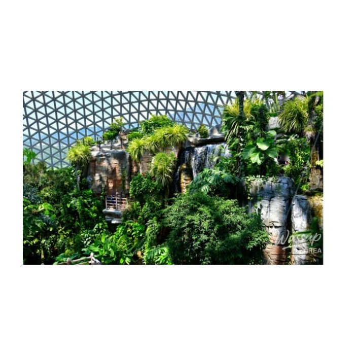 Discover the Wonders of Geoje Botanical Garden3489