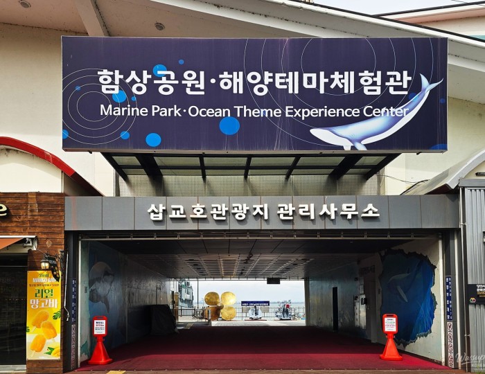 Exploring the Sea: A Family Adventure in Dangjin float