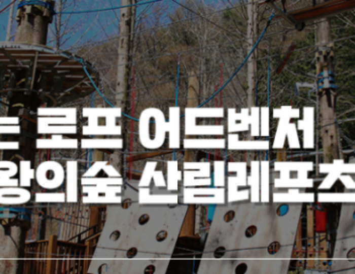 A Perfect Place for Activities with Kids in the Forest float