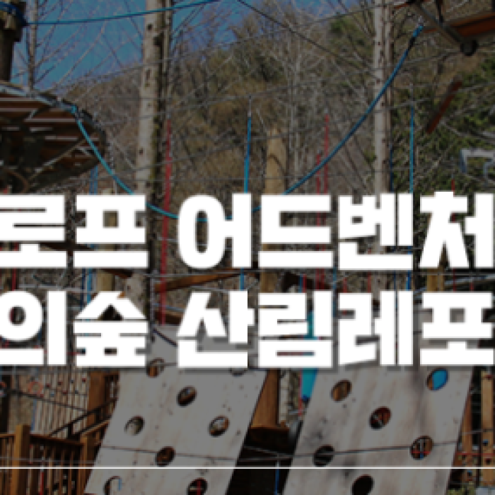 A Perfect Place for Activities with Kids in the Forest1717