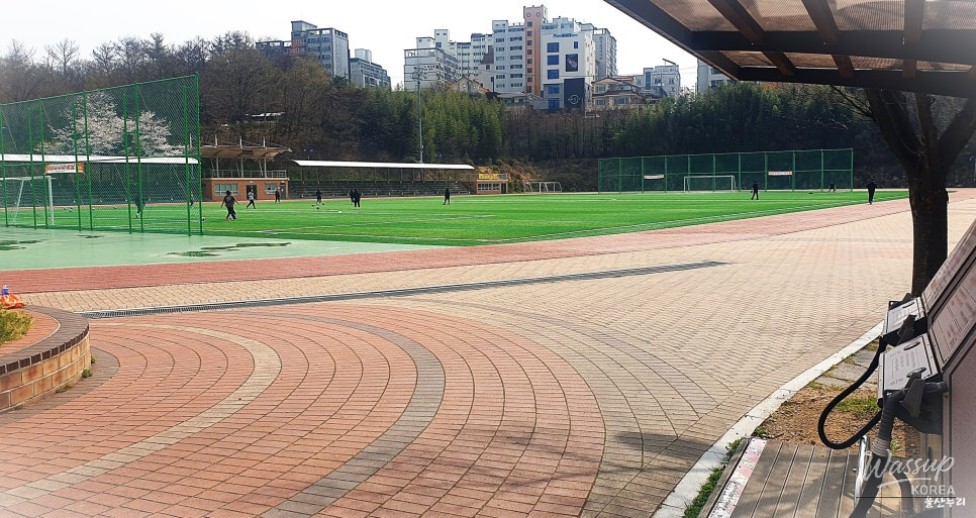 Exploring the Scenic Trails of Ulsan_05