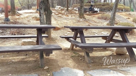 Exploring the Scenic Trails of Ulsan_12
