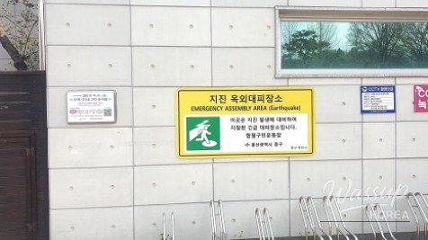 Exploring the Scenic Trails of Ulsan_06