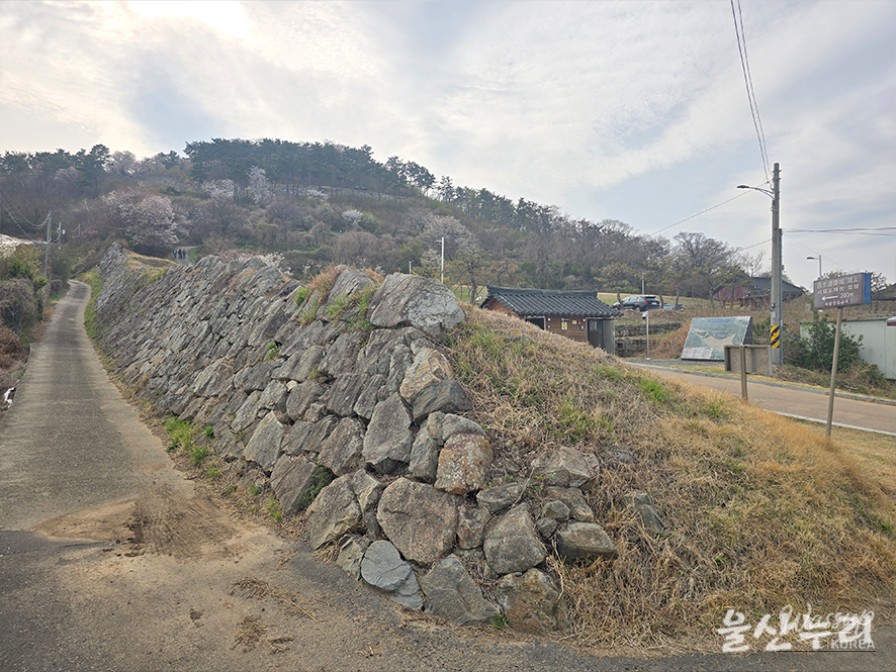 Exploring the Historical Seongpo Fortress in Ulsan_03