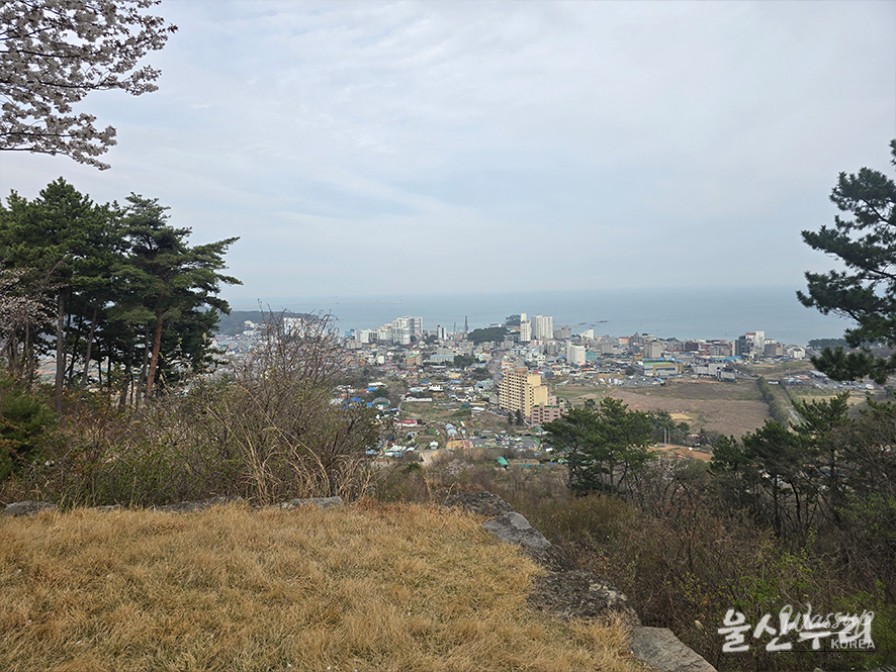 Exploring the Historical Seongpo Fortress in Ulsan_10
