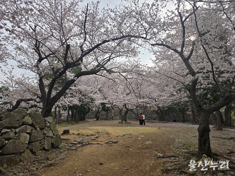 Exploring the Historical Seongpo Fortress in Ulsan_14