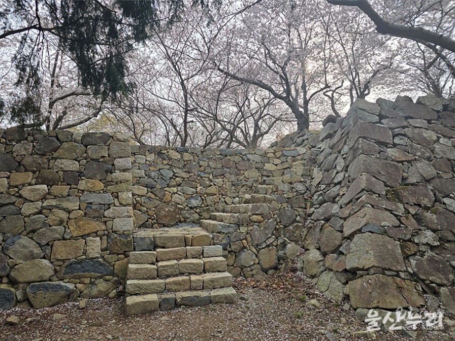 Exploring the Historical Seongpo Fortress in Ulsan_15
