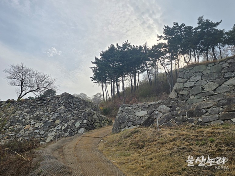 Exploring the Historical Seongpo Fortress in Ulsan_09