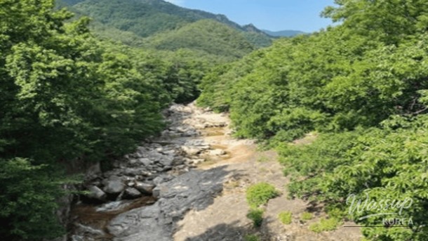Spring Getaways in Gangwon-do: Top 4 Destinations_04