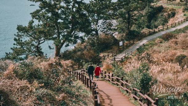 Discovering Beophwan Port: A Hidden Gem in Jeju_04