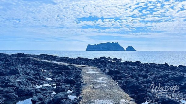 Discovering Beophwan Port: A Hidden Gem in Jeju_05