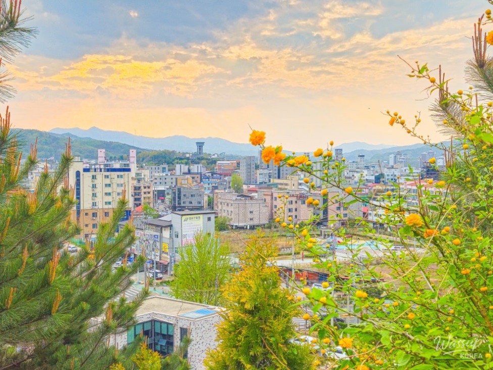 Discovering the Healing Space of Geolmisan Green Sharing Forest_02