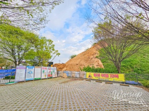 Discovering the Healing Space of Geolmisan Green Sharing Forest_04