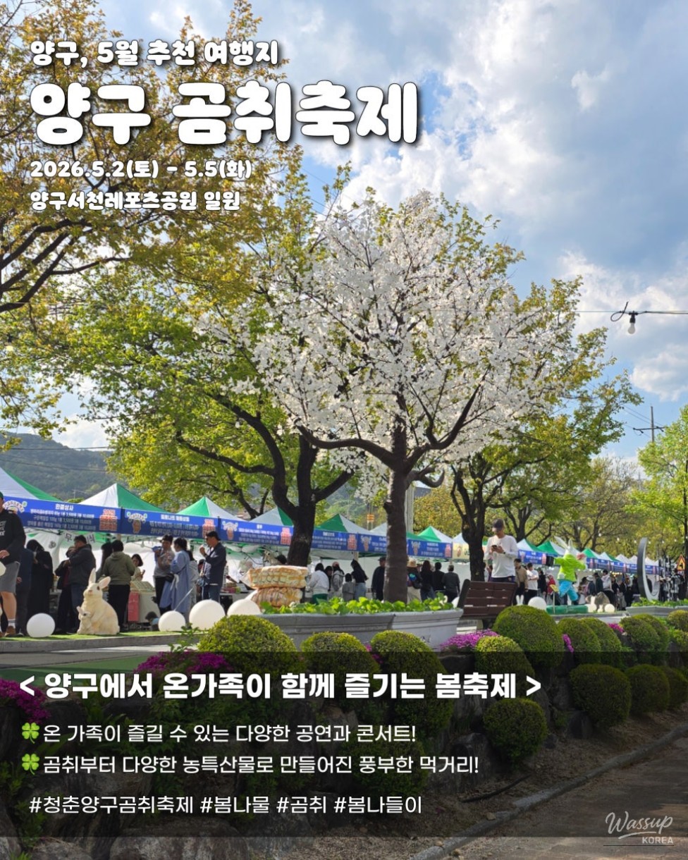 Recommended Travel Destination in May 2026: Yanggu Gomchwi Festival!_05