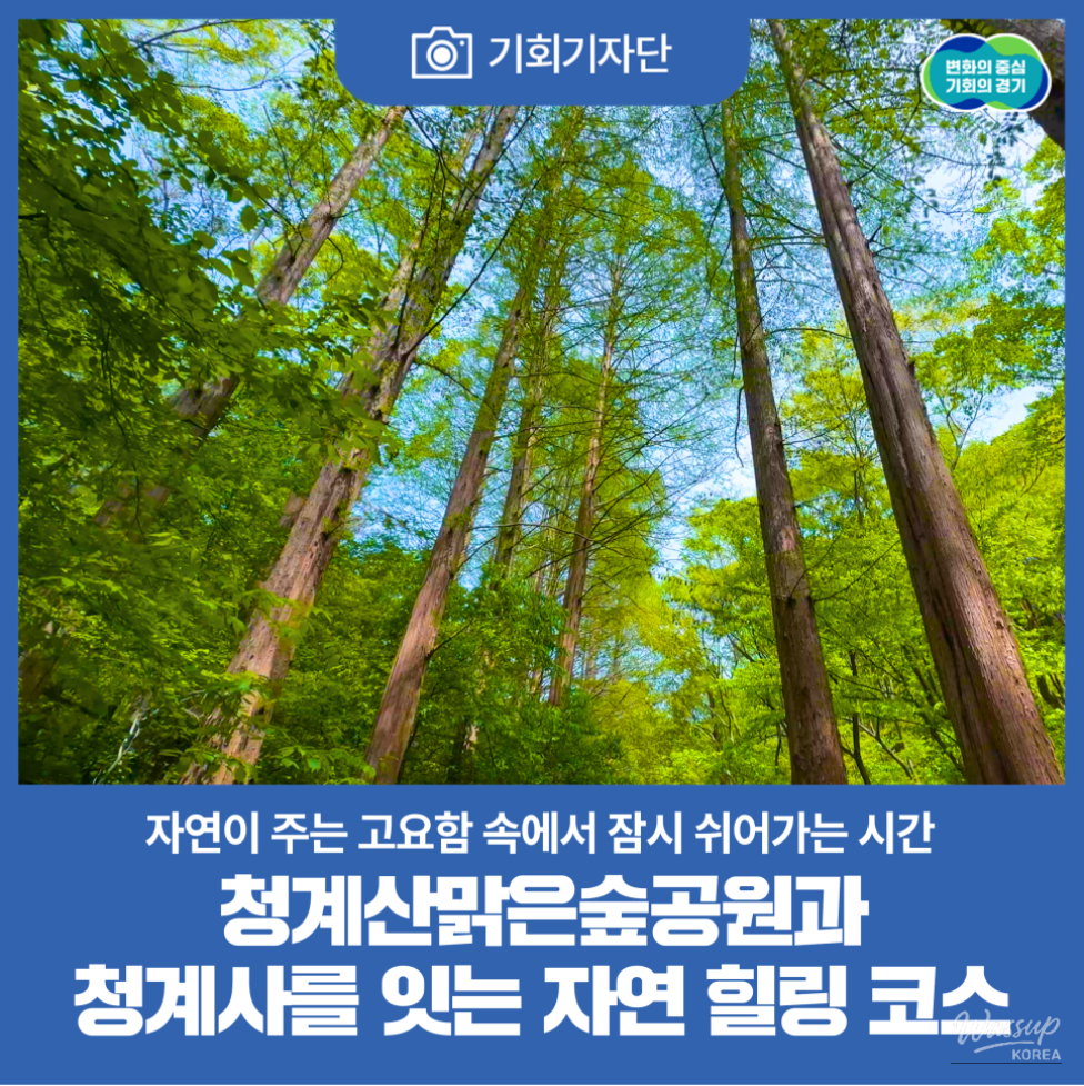 A Tranquil Journey Through Cheonggye Mountain_01