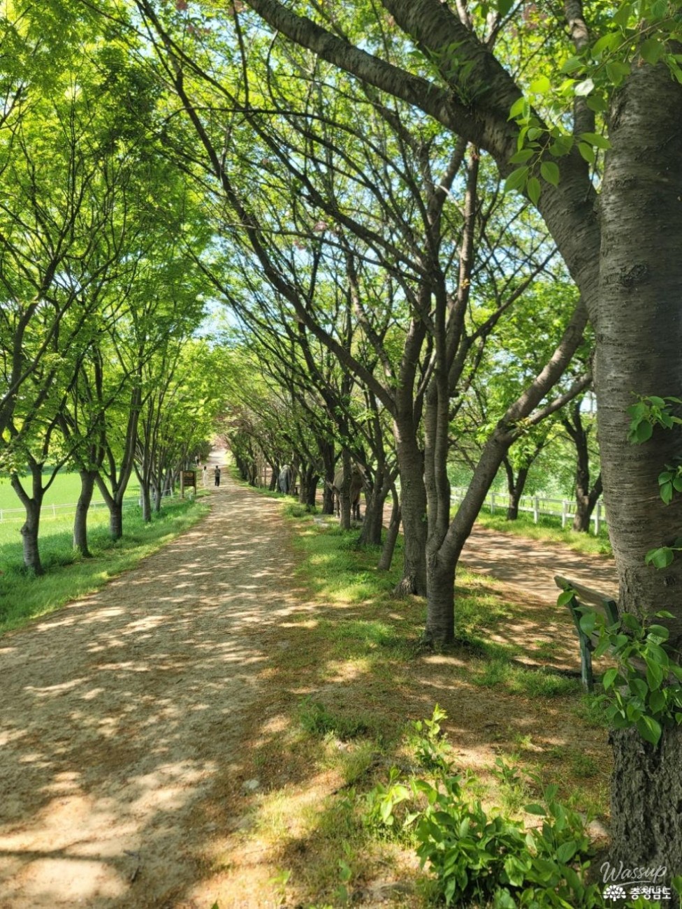 Discovering Agroland Taeshin Ranch: A Hidden Gem in Chungnam_06