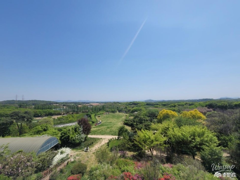 Discovering Agroland Taeshin Ranch: A Hidden Gem in Chungnam_03