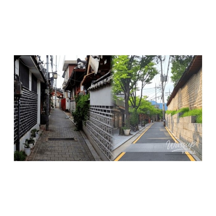 Spring Walks in Seoul: A Guide to Scenic Paths3509