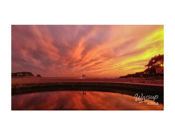 Discovering Beophwan Port: A Hidden Gem in Jeju float