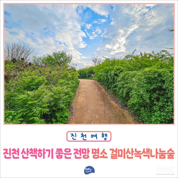 Discovering the Healing Space of Geolmisan Green Sharing Forest3502