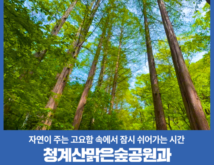 A Tranquil Journey Through Cheonggye Mountain float