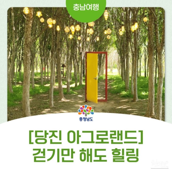 Discovering Agroland Taeshin Ranch: A Hidden Gem in Chungnam3513