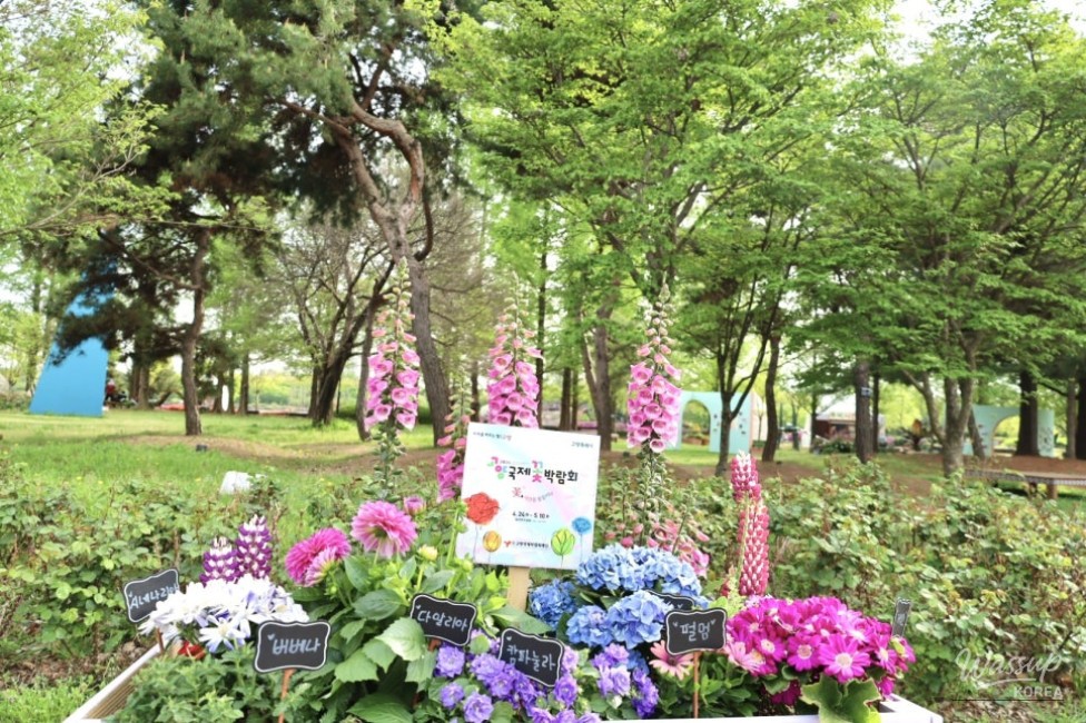 Spring Outing at the Goyang International Flower Festival_03